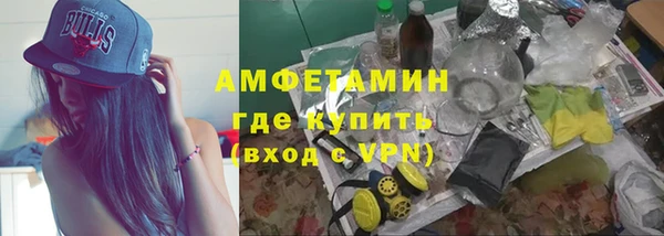 ПСИЛОЦИБИНОВЫЕ ГРИБЫ Дмитриев