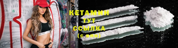 трава Новодвинск
