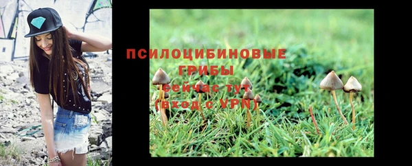 трава Новодвинск