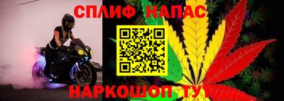 jwh Будённовск