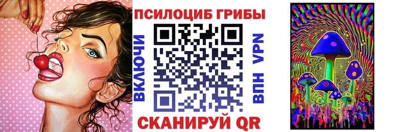 Галлюциногенные грибы Psilocybine cubensis  где можно купить   Коркино 