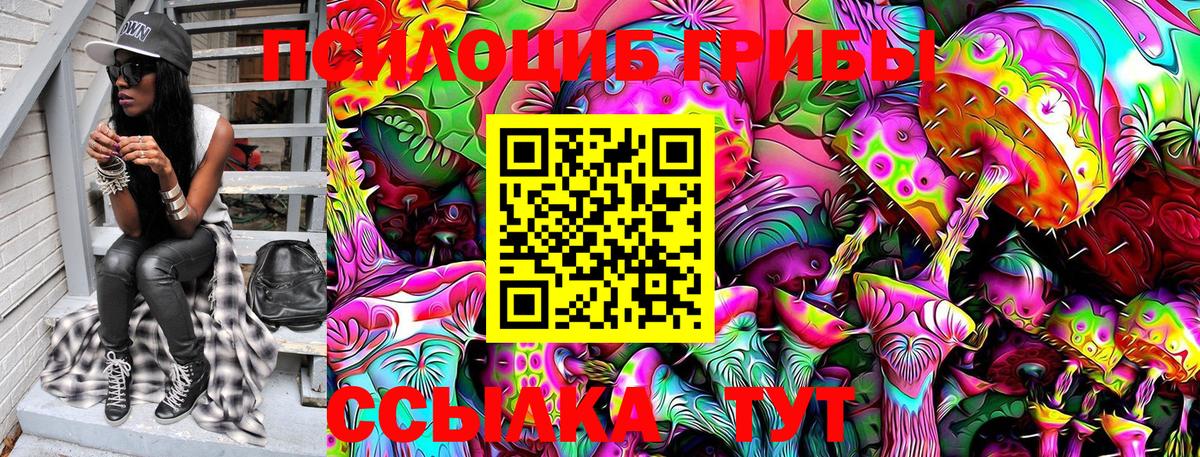 наркота  Коркино  Псилоцибиновые грибы прущие грибы 