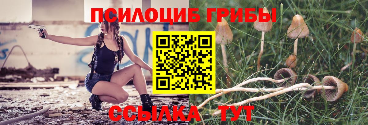 Псилоцибиновые грибы Cubensis  Псилоцибиновые грибы Psilocybine cubensis  Коркино  Вход с VPN 